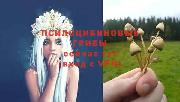 mix Абинск