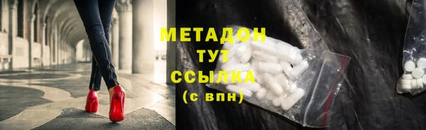 прущие грибы Рославль