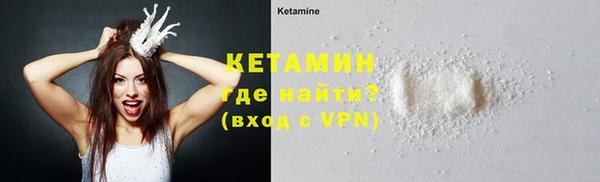 прущие грибы Рославль