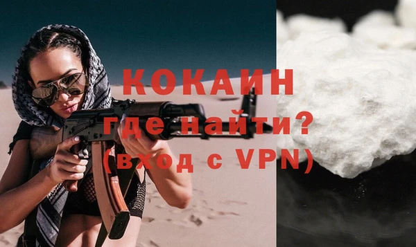 прущие грибы Рославль