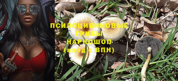 прущие грибы Рославль