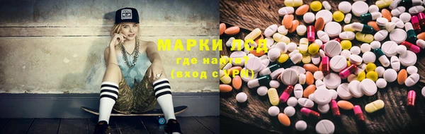 гашик Каменногорск