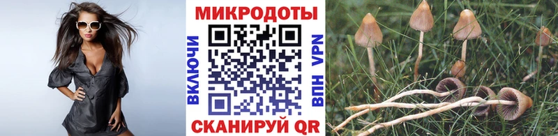 Галлюциногенные грибы Psilocybe Усмань